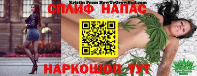 apvp Бузулук