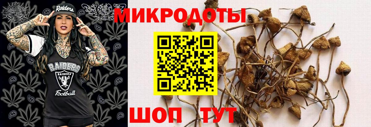 Феодосия  Псилоцибиновые грибы прущие грибы  продажа наркотиков  Вход с VPN  Галлюциногенные грибы Psilocybe 